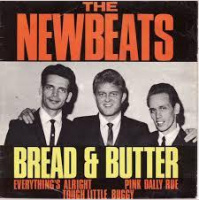 Music Memories 398 The Newbeats