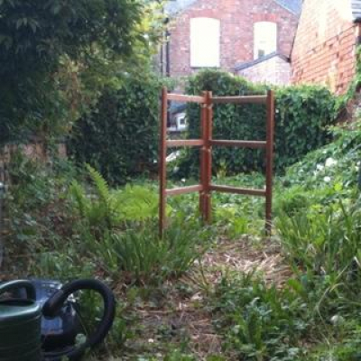 Miki Strange s Posts