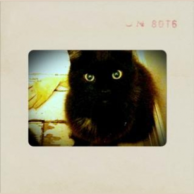 Miki Strange s Posts