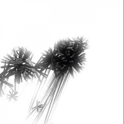 Miki Strange s Posts