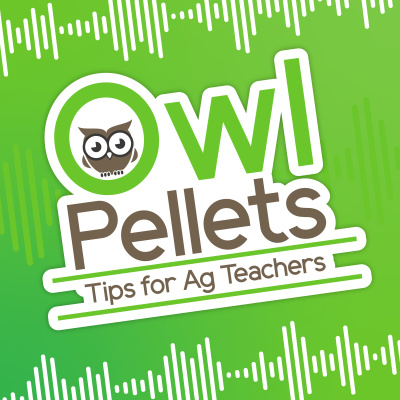 Owl Pellets: Tips For Ag Teachers