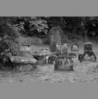 N10 - Comedy, ghosts and dog walks