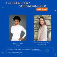 Declutter Your Mind: The Power of Perspective with Anna Malinsky