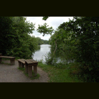 #5: Bench 3 (Dartington weir to riverside picnic table)