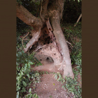 #15: Bench 8 (grotto to the old sewage beds)