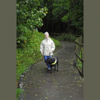 #16: Bench 7 (old sewage beds to cliffside)