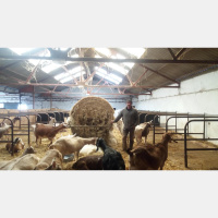 Anaerobic Digester Project at Dartington Hall