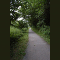 #8: Bench 6 (cliffside to old sewage beds)