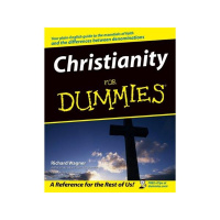 Christians who told you to worship Jesus?