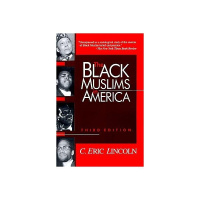 Is Islam a religion of peace or a religion of Terror?