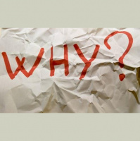 Why Oh Why OH WHY???