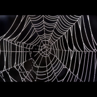 Weight Loss ~ Session 5