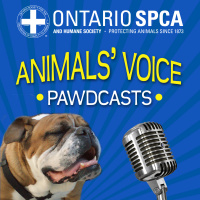 Ontario SPCA Educational Conference - Animals’ Voice Pawdcast Season 1, Episode 4