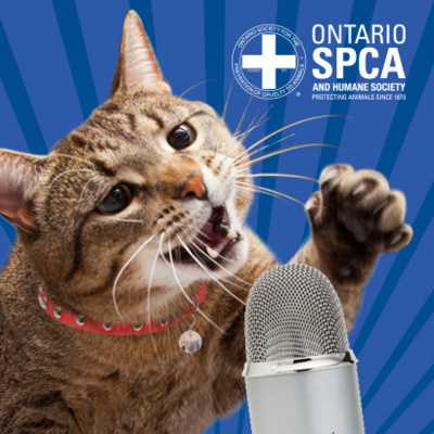 Ontario Spca