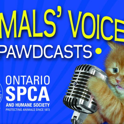 Ontario Spca