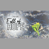 Stand Firm in the True Grace of God