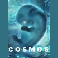 RFTS: Introduction to the Series Readings from the Cosmos