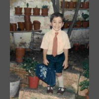 The Pains of Attachment