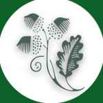 Building Our Super School Podcast