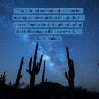Anastasis Academy with Kelly Tenkely Transformative Principal 248