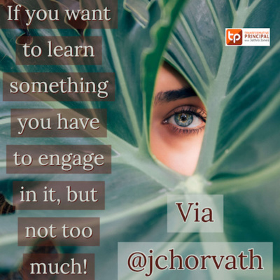 Transformative Principal