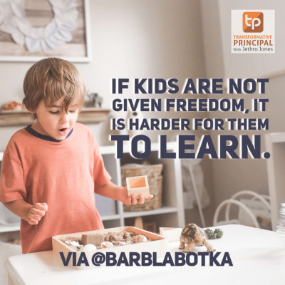 Transformative Principal