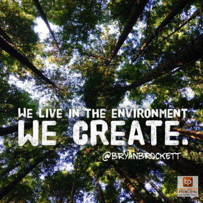 Transformative Principal