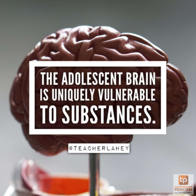 Transformative Principal