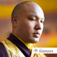 Karmapa - Selected Talks On Buddhism, Philosophy, And Meditation.