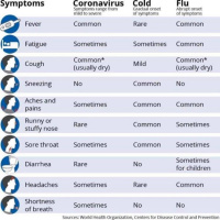 Day 164：Is it a flu, common cold, or COVID-19?