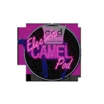 Camel City Dispatch News Hour