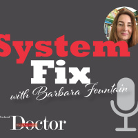 Episode 24: System Fix: Episode 24 - Chatting with Abbe Anderson