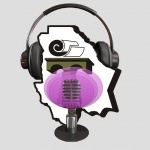 Tribunal Estatal Electoral De Chihuahua