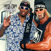 Episode 28: Athletes in WWE, Dennis Rodman  Hogan VS. DDP  Karl Malone