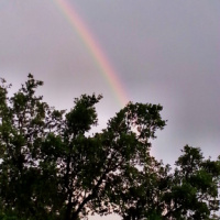 Zombies and rainbows 