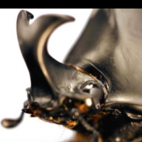 Evernote, Drobo problem and getting some sleep during the day