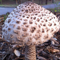 Religion and power and sustainability