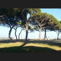 Cycling and other stories