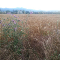 Got my New Toy - Galaxy S3