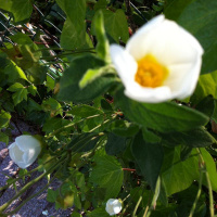 Plans for the day making tutorials