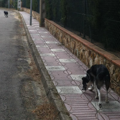 David Allen Wizardgolds Posts