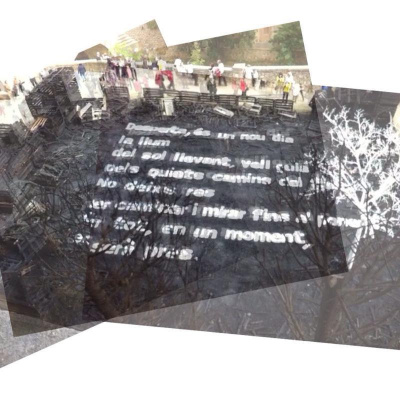 David Allen Wizardgolds Posts