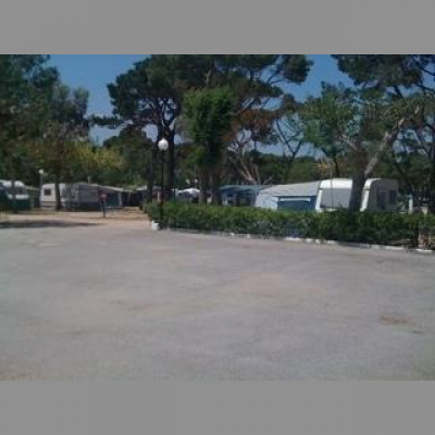 David Allen Wizardgolds Posts