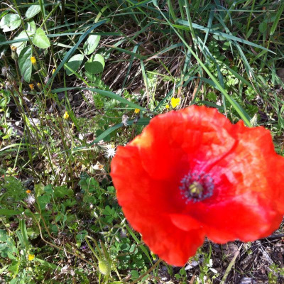 David Allen Wizardgolds Posts