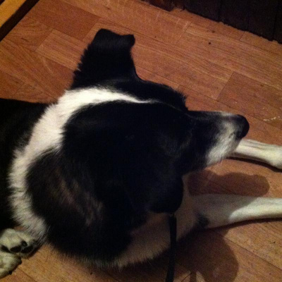 David Allen Wizardgolds Posts