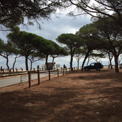 David Allen Wizardgolds Posts