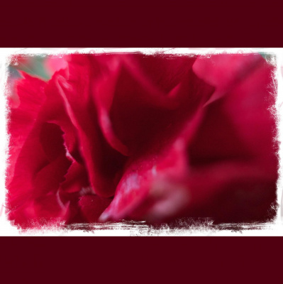 David Allen Wizardgolds Posts