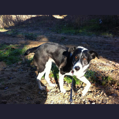 David Allen Wizardgolds Posts