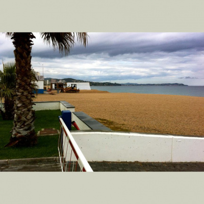 David Allen Wizardgolds Posts