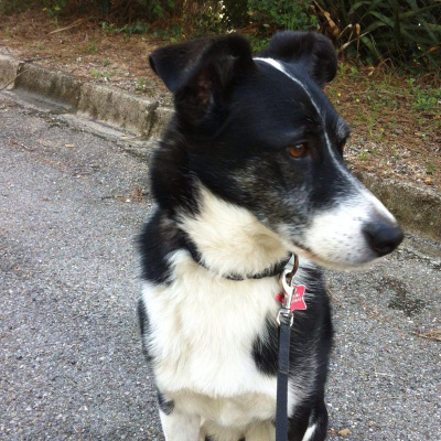 David Allen Wizardgolds Posts